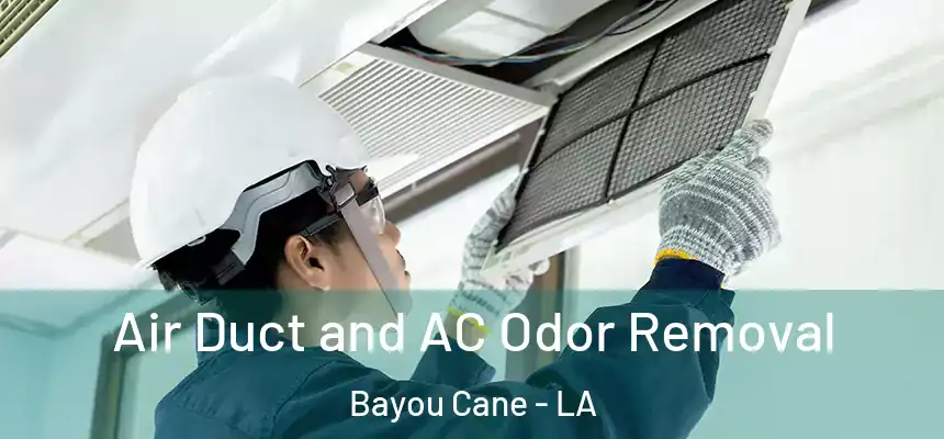  Air Duct and AC Odor Removal Bayou Cane - LA