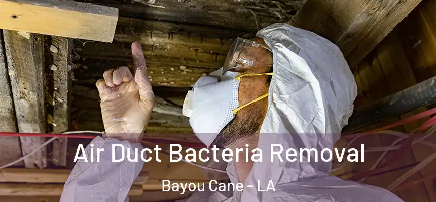  Air Duct Bacteria Removal Bayou Cane - LA