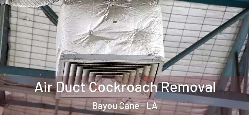  Air Duct Cockroach Removal Bayou Cane - LA