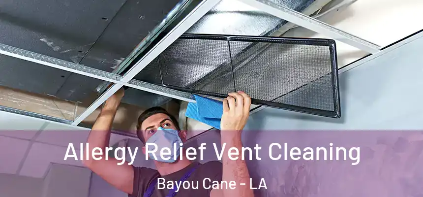  Allergy Relief Vent Cleaning Bayou Cane - LA