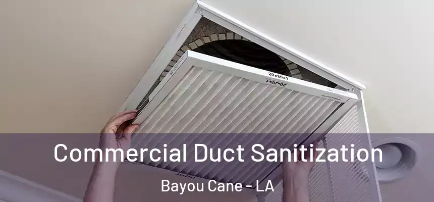 Commercial Duct Sanitization Bayou Cane - LA