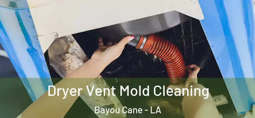  Dryer Vent Mold Cleaning Bayou Cane - LA