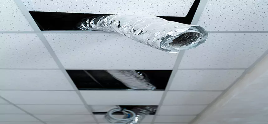 Affordable HVAC Sanitizing After Pest Removal in Bayou Cane