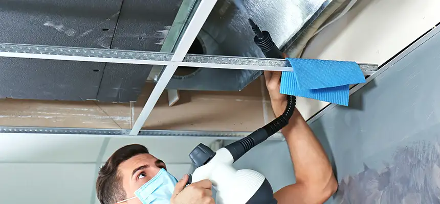 Our Air Duct Rodent Removal Services in Bayou Cane, LA
