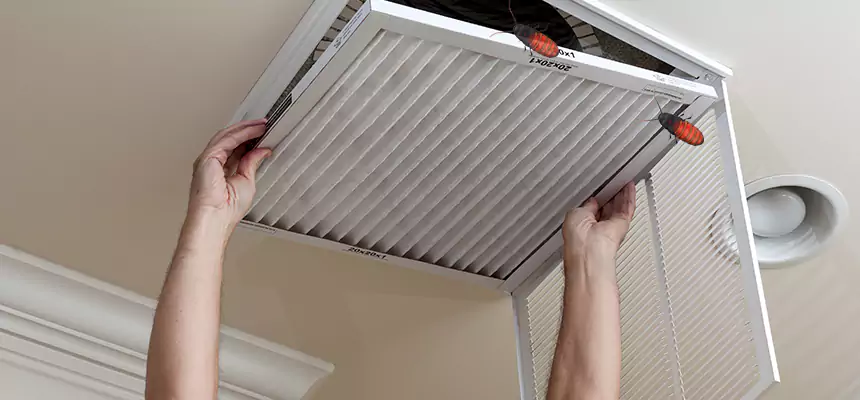 Our Insect Removal from Air Ducts Services in Bayou Cane, LA