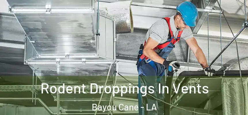  Rodent Droppings In Vents Bayou Cane - LA