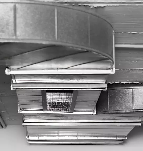 Professional Air Duct Pest Removal in Bayou Cane, LA