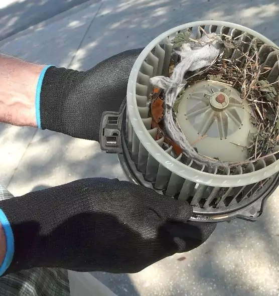 About Air Duct Rat Removal in Bayou Cane, LA