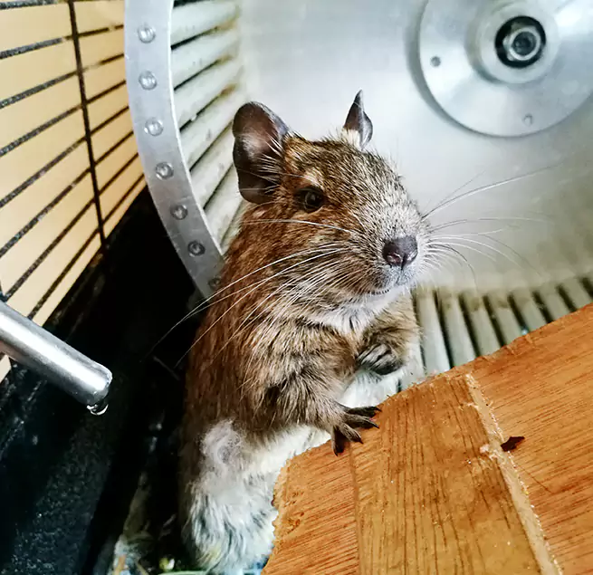 Why Homeowners & Businesses Trust Us Bayou Cane, LA?