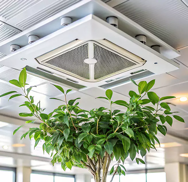 Why Homeowners & Businesses Trust Us in Bayou Cane, LA