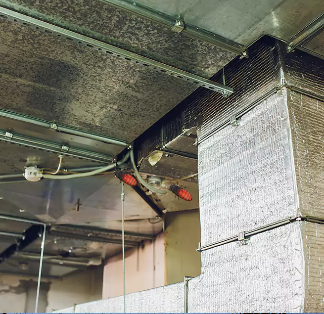 Why Homeowners & Businesses Trust Us Bayou Cane, LA?